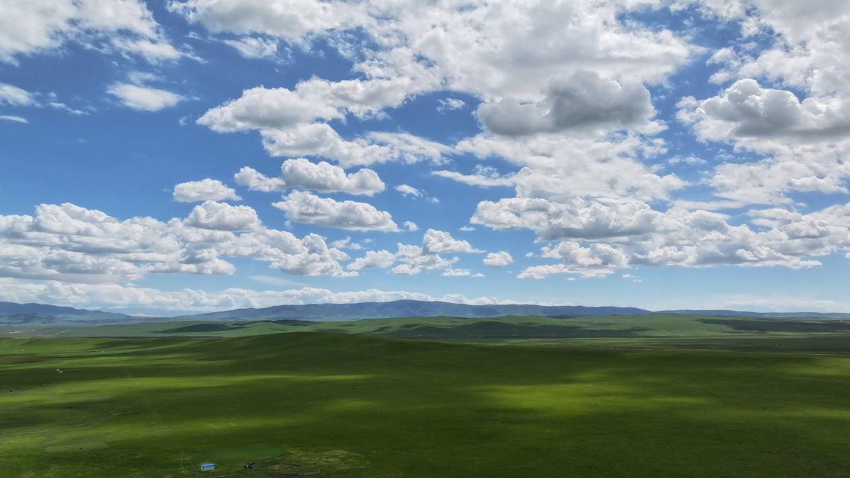 MDQBN, 有效带动了 MDQBN, 有效带动了